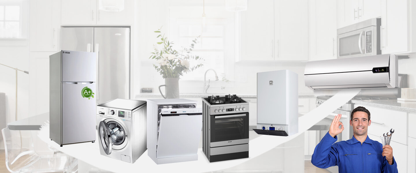 Ulus Electrolux Servisi